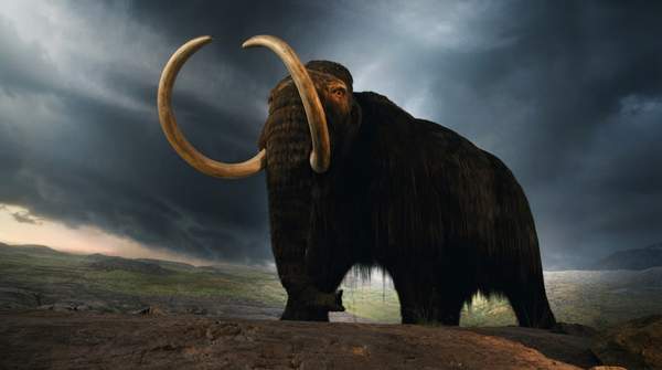 Editorial illustration for De-Extinction: A Framework for Evaluating the Science, Ethics, and Ecology